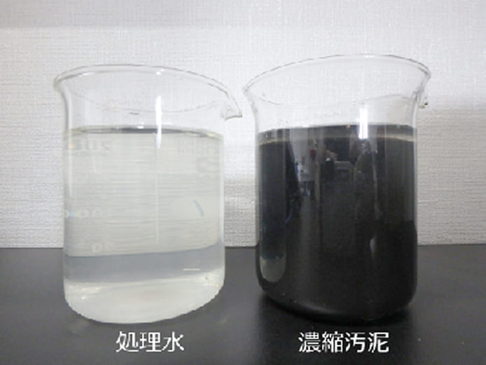 処理水と濃縮汚泥